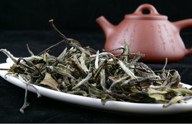 福鼎白茶4.jpg